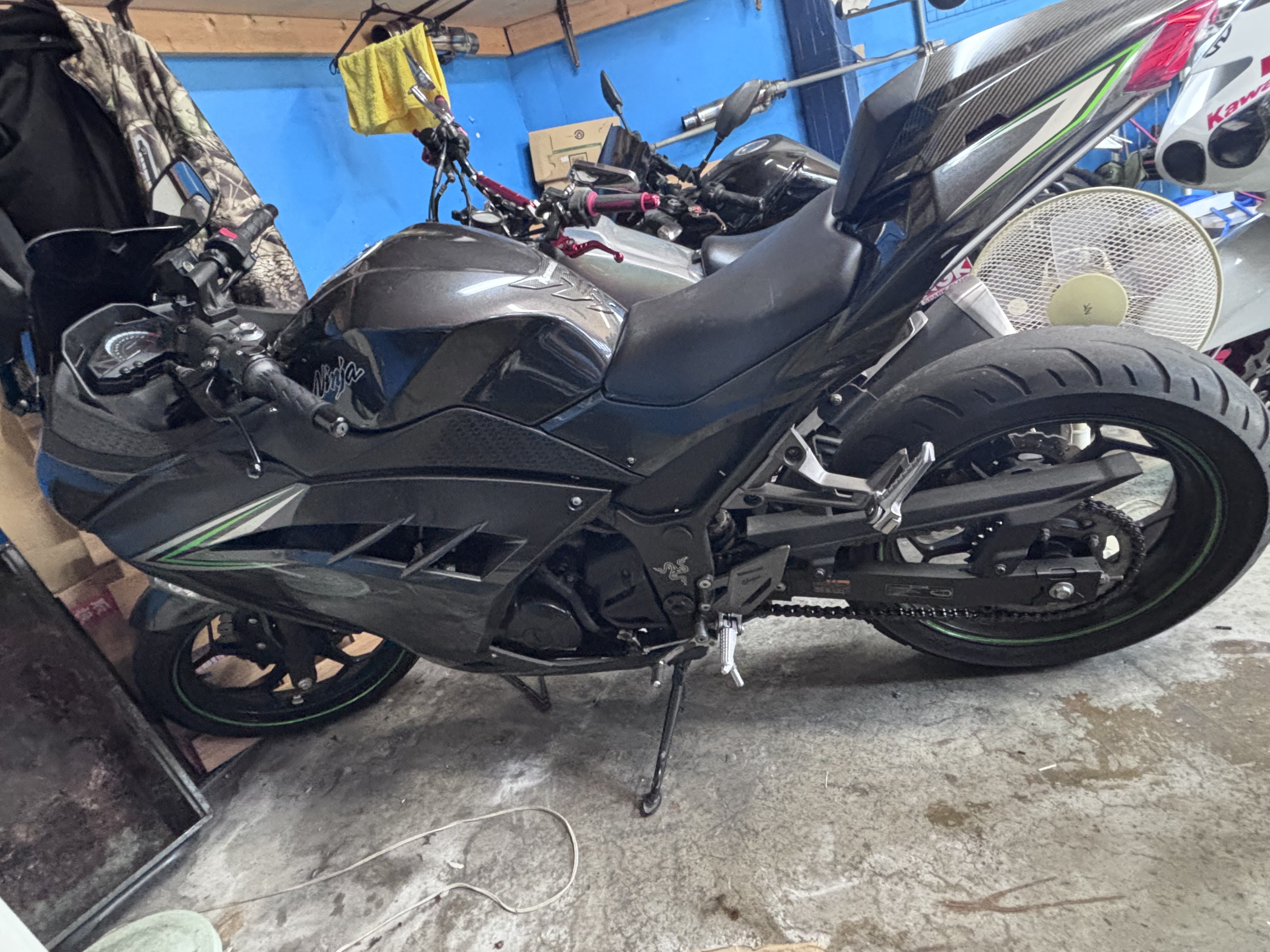 NINJA250、2019年式、サイド